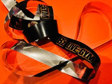 [케이스 포함] B'z LIVE-GYM 2025 FYOP 은색 테이프