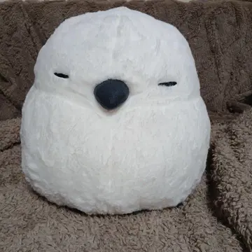 복복 시마연가 시마타로