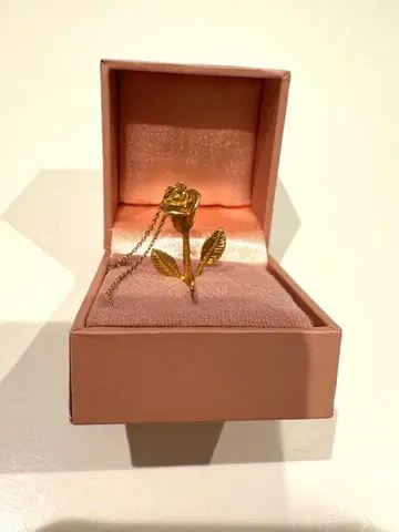 eimy istoire 로즈 목걸이