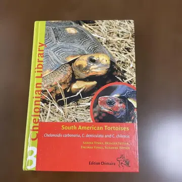 South American Tortoises (남미산 육지거북)