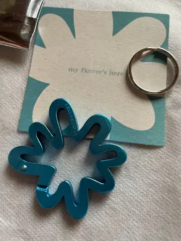 후지이 카제 카라비너 파랑