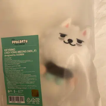 CHOI YONG MEONG 키링 용몽 초기