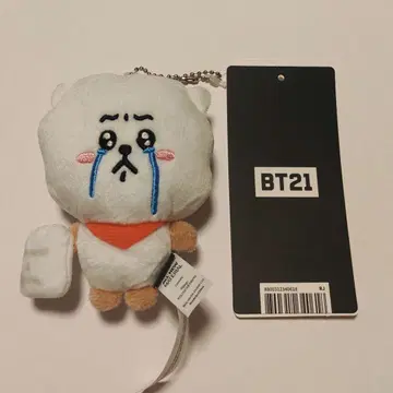 BT21 봉제 인형 키링 에~응 TODAY'S FACE RJ
