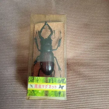 곤충 마그넷 M 사이즈