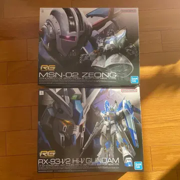 RG 1/144 하이뉴 건담 지옹 세트