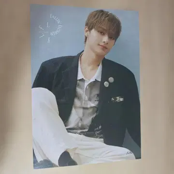 SEVENTEEN  타워 레코드 시부야점 한정판 플라이어 준