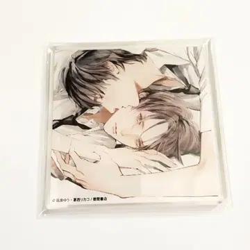 나기라 유 카사이 리카코 아름다운 그 TV 드라마화 기념전 아크릴 코스터