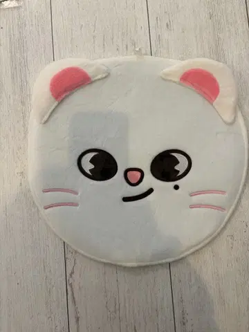 straykids 부채 커버 현진 지니레트