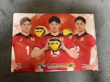 일본 대표 남자 밸리 클리어 파일