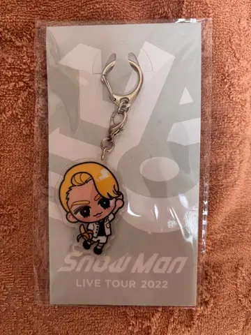 [ 미사용 새상품 ] SnowMan 라울 스노치루 아크릴 키링