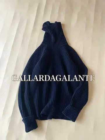 개럴개런트 GALLARDAGALANTE 울 100% 터틀 니트