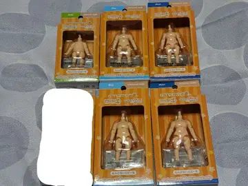 넨도로이드돌 바디 almond milk