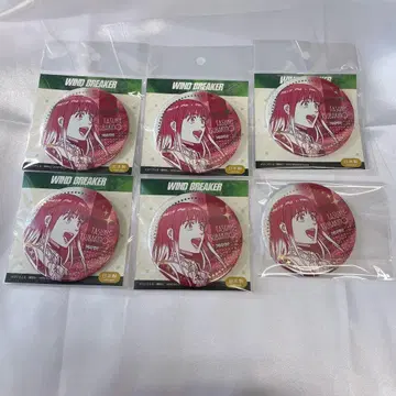 WIND BREAKER 윈브레 츠바키노 유 금박 캔뱃지