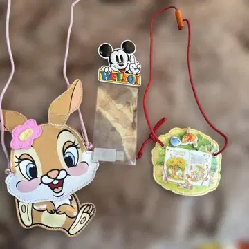 레어 도쿄 디즈니 리조트 여권 케이스