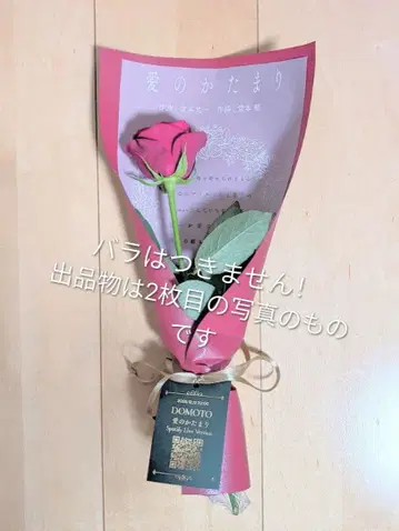 DOMOTO 사랑의 덩어리 팝업 장미 랩핑 세트 kinki