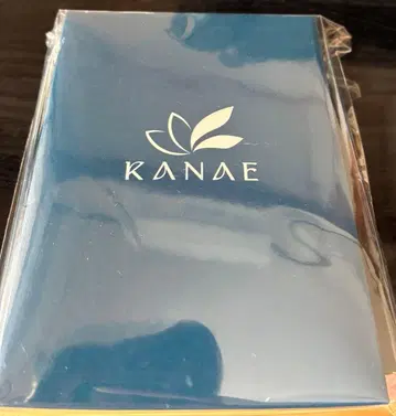 카나에 2nd mini album 요아카시 발매 기념 이어커프