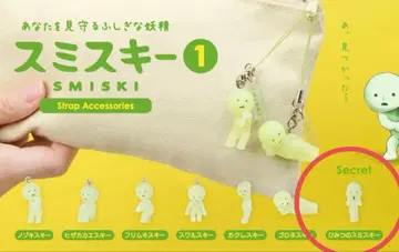 스미스 키 스트랩 액세서리 1 시크릿 - 캡슐/미니브/내부 가방 포함