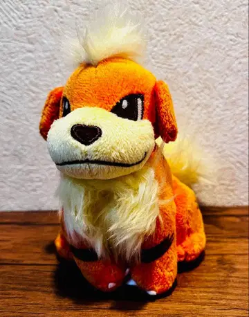 포켓몬 캔버스 2010 포켓몬 센터 한정 봉제 인형 꼬부기