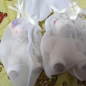 페일러 리베 릴리아 마스코트