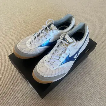 모렐리아 사라 재팬