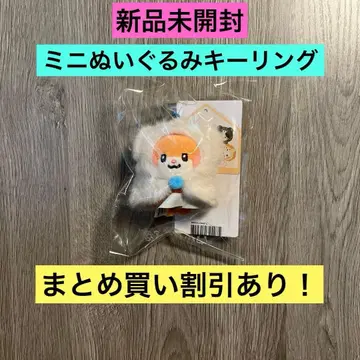 ZB1 제로니 미니 봉제 인형 키링 비니니 한빈