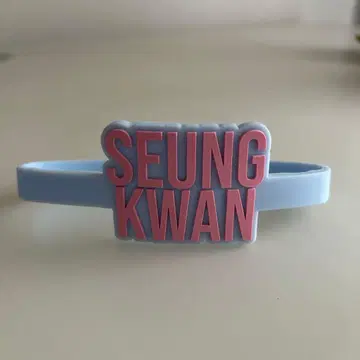 SEVENTEEN 승관 응원봉 액세서리