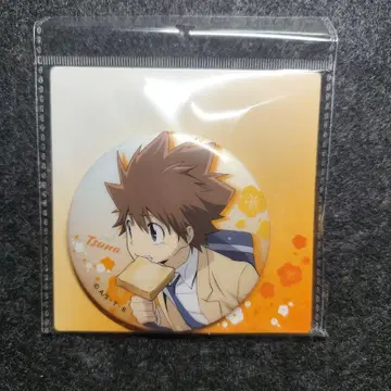 가정교사 히트맨 리본 REBORN 중국 한정판 사와다 츠나요시 캔뱃지