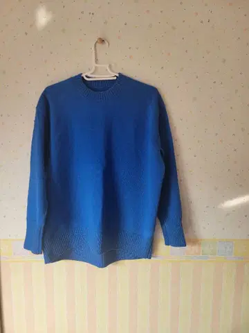 운모&데일 예쁜 색 니트