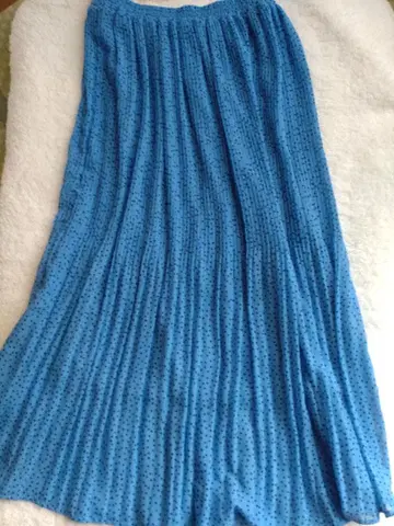 Lugnoncure 파랑 플리츠 스커트 프리 사이즈