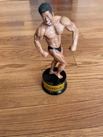 NAKAYAMA KINNIKUN 피규어 약 21cm