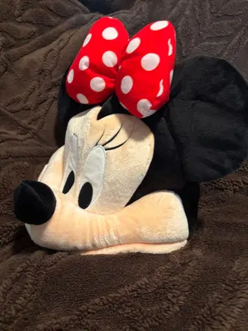 디즈니 미니 팬캡