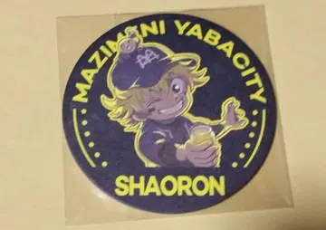 진지하게 야바시티 샤오롱 코스터