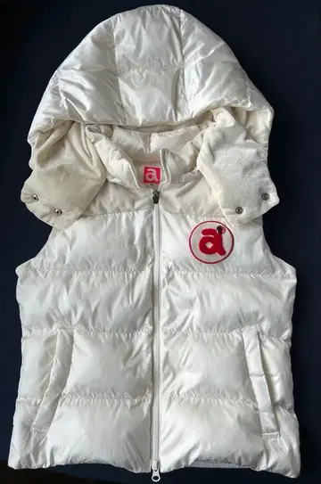 아르치비오 베스트