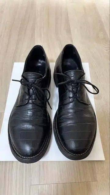 Kids love gaite 단화 악어 엠보싱 레이스업 슈즈