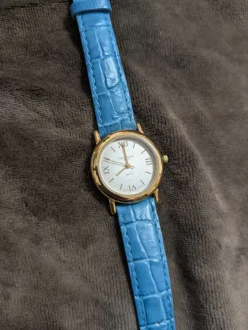 피에르 라니에 손목시계 블루