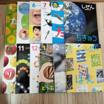 자연 시리즈 전 12권 세트