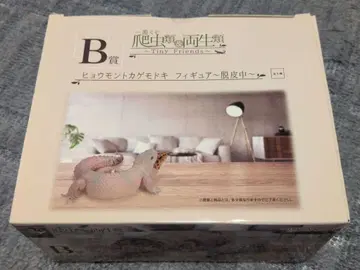 제일복권 파충류 & 양서류 B상