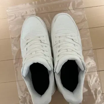 포틀랜드! 스니커즈