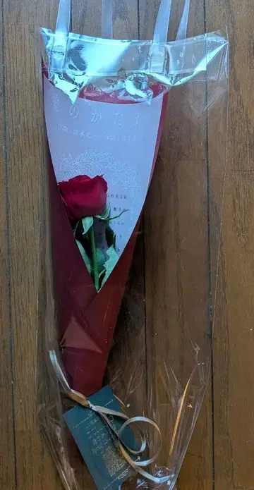 DOMOTO POP-UP 이벤트 배포품 장미 장미 KinKi Kids