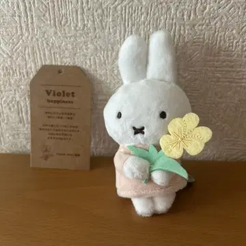 미피  마스코트 제비꽃