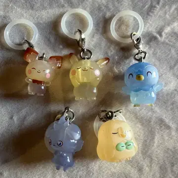 포켓몬 메지루시 액세서리 컴프 세트