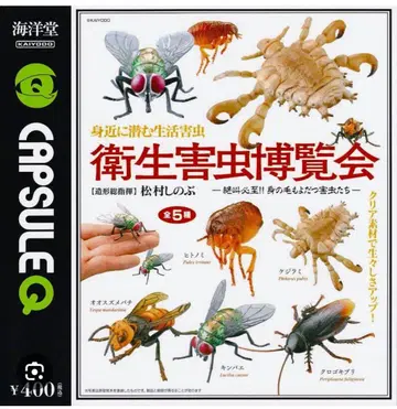 위생 해충 박람회 ~일상에 숨어있는 생활 해충~ 총 5종