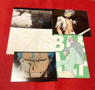 BLEACH 514 그리 조 엽서 핀업 브로마이드