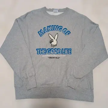 Champion 챔피온 맨투맨 리버스 위브