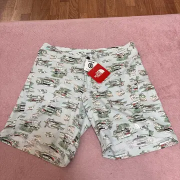 THE NORTH FACE 숏팬츠