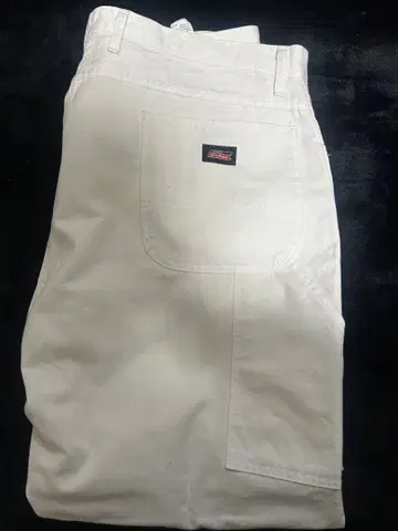 디키즈 페인터 팬츠