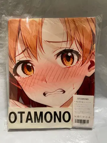 28299 미 아이돌 마스터 야부키 카나