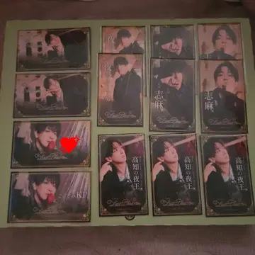 시마 명함풍 카드 13장 세트