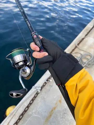 24 셀테이트 4000 CXH