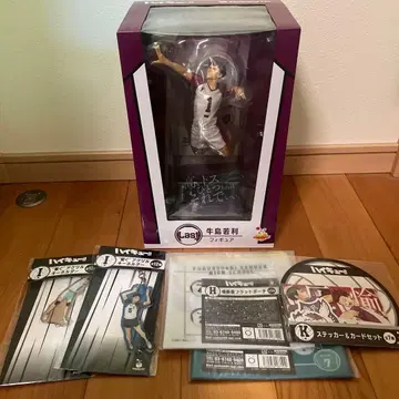 하이큐!! 우시지마 와카토시 피규어 라스트 모델